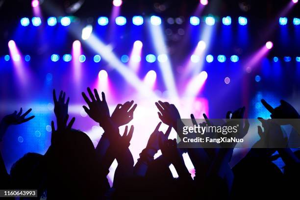 silhouette der erhobenen hände und arme am konzert festivalparty - star sessions stock-fotos und bilder