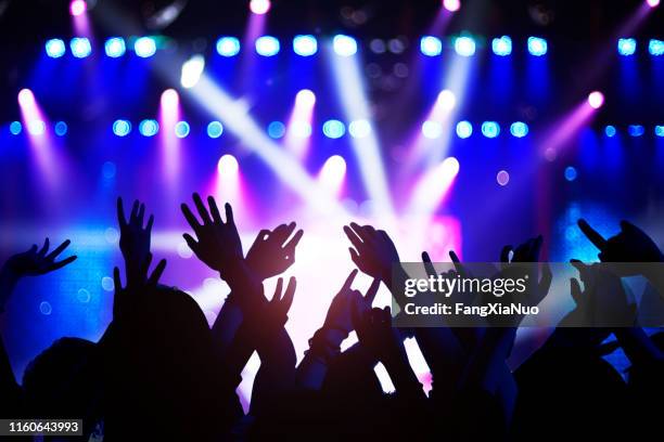 silhouette of raised hands and arms at concert festival party - vip nightclub stock pictures, royalty-free photos & images