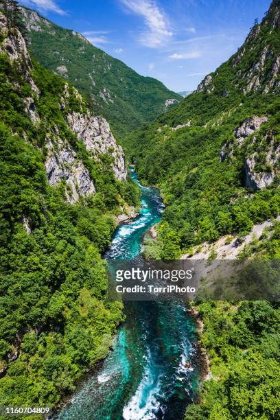 high angle view of deep river canyon with green mountains at summer - montenegro photos et images de collection