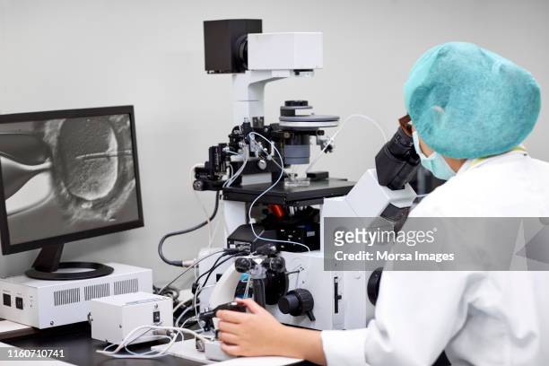 scientist looking in microscope at laboratory - 人工授精 個照片及圖片檔