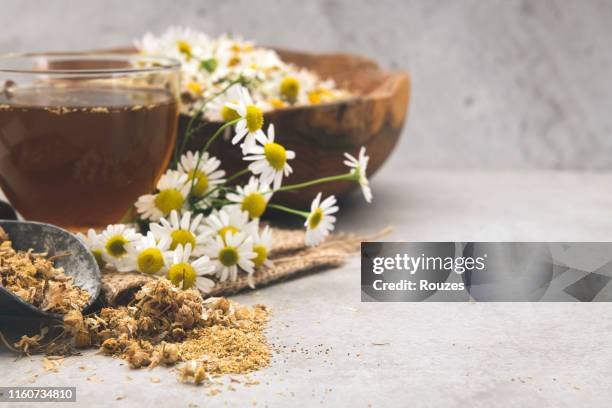chamomile - chamomile tea stock pictures, royalty-free photos & images