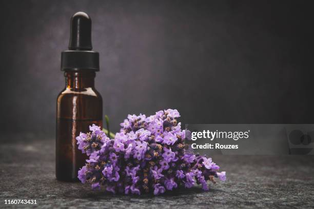 een fles lavendel etherische olie met verse lavendel takjes - herb stockfoto's en -beelden