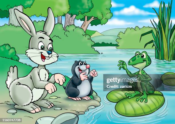 Frog Riding A Rabbit Frogs And River Photos and Premium High Res Pictures - Getty Images