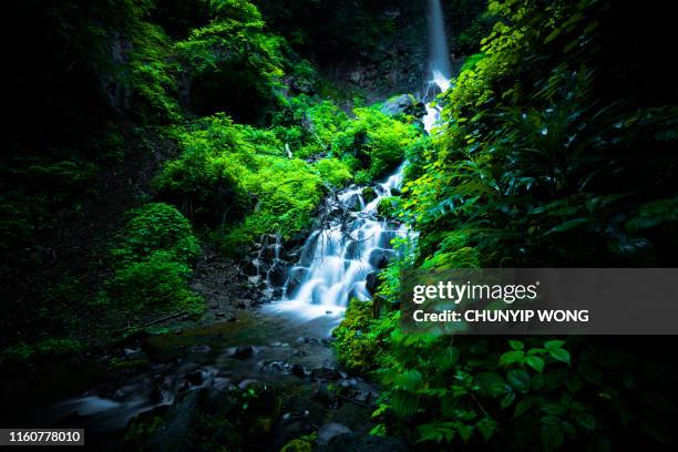 wasserfall in karuizawa, japan - karuizawa stock-fotos und bilder