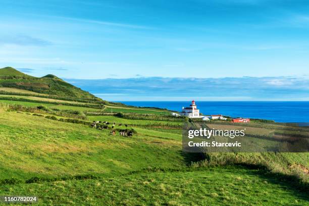 the azores - beautiful nature scene - ponta delgada stock pictures, royalty-free photos & images