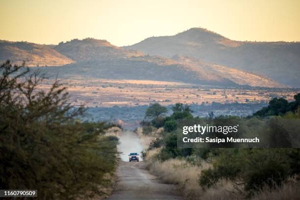 off-road car driving at pilanesberg game reserve - joanesburgo imagens e fotografias de stock