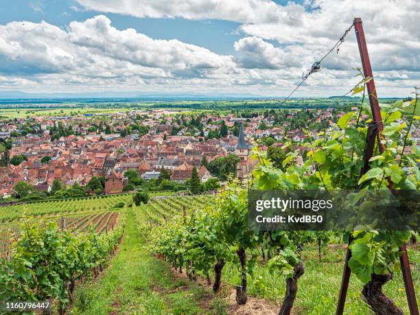 andlau im elsass - elsass stock-fotos und bilder