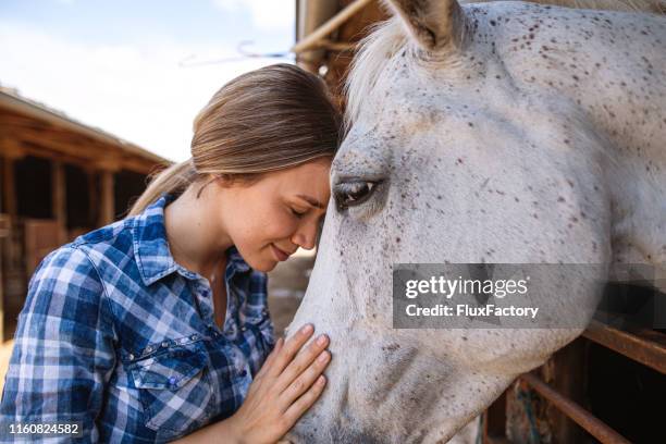 schöne ruhige mädchen verbringen einen ruhigen moment mit einem pferd - pferd stock-fotos und bilder