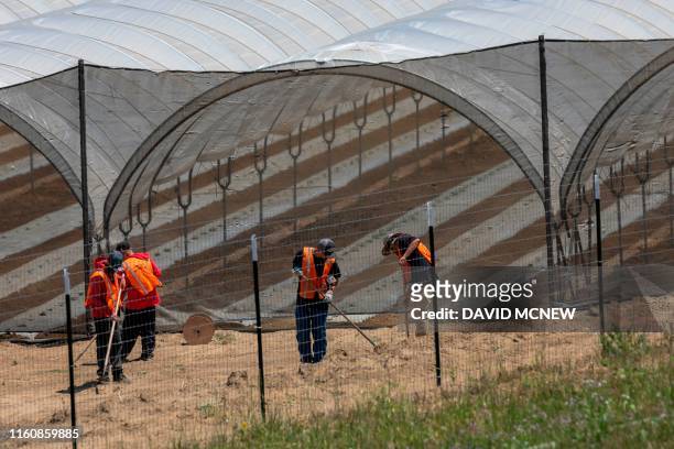 Cannabis growing operation that was constructed in March is seen next to Fiddlestix vineyards in the Santa Ynez Valley northwest of Santa Barbara,...