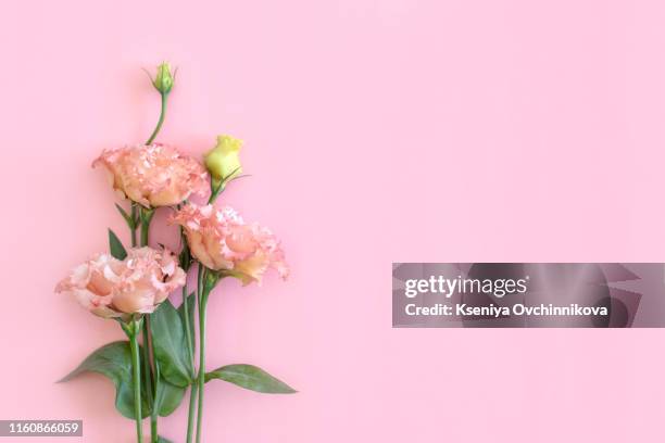 pastel flowers for mothers day on pink table top view. flat lay style. - mothers day border stock pictures, royalty-free photos & images