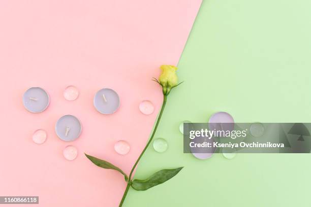 pastel flowers for mothers day on pink table top view. flat lay style. - flower blossom ストックフォトと画像