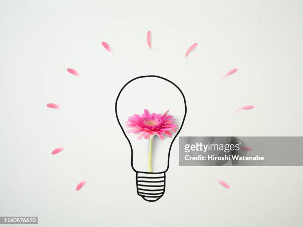 light bulb drawn on drawing paper with flower - spring forward stockfoto's en -beelden
