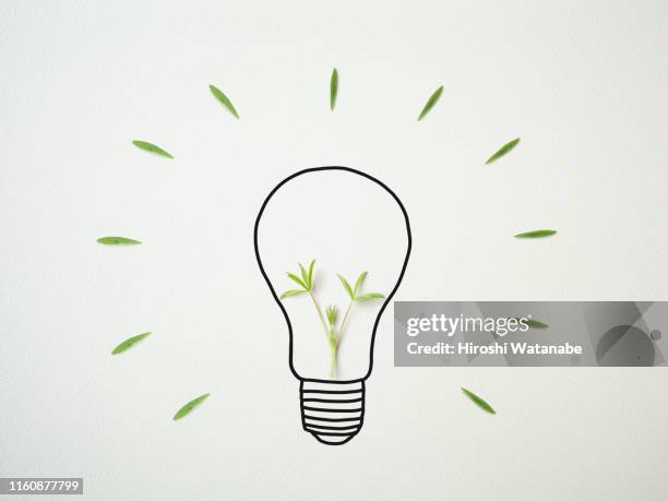 light bulb drawn on drawing paper with plants - clave del éxito fotografías e imágenes de stock