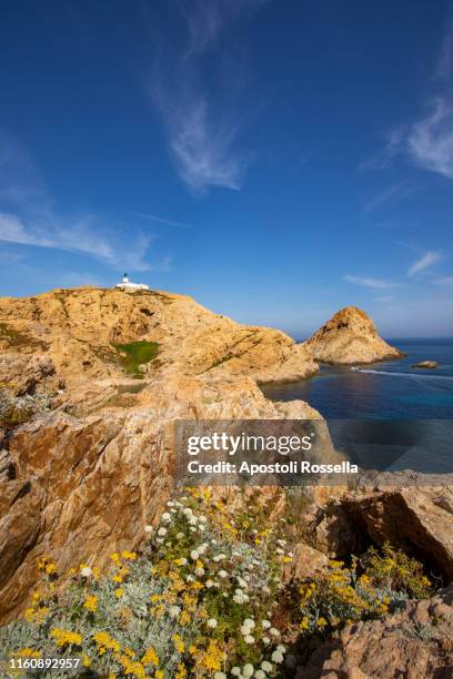 view of ile de la pietra, ile-rousse, corsica - ajaccio stock-fotos und bilder