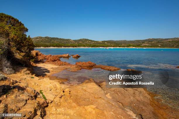 southern corsica, bonifacio, rondinara beach - rondinara stock pictures, royalty-free photos & images