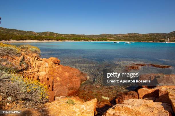 southern corsica, bonifacio, rondinara beach - rondinara stock pictures, royalty-free photos & images