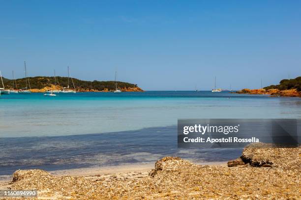 southern corsica, bonifacio, rondinara beach - rondinara stock pictures, royalty-free photos & images