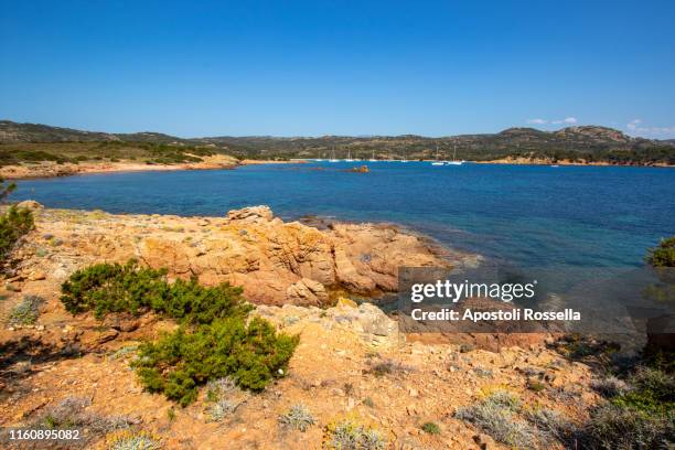 southern corsica, bonifacio, rondinara beach - rondinara stock pictures, royalty-free photos & images