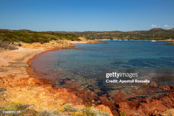 southern corsica, bonifacio, rondinara beach - rondinara stock pictures, royalty-free photos & images