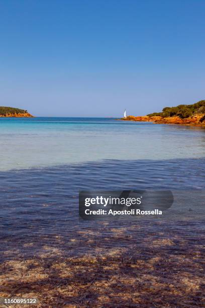 southern corsica, bonifacio, rondinara beach - rondinara stock pictures, royalty-free photos & images