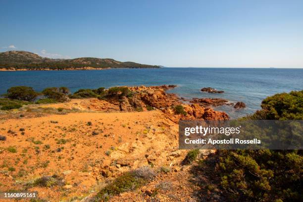 southern corsica, bonifacio, rondinara beach - rondinara stock pictures, royalty-free photos & images