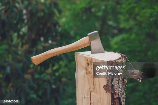 close-up of axe stuck in log. - bijl stockfoto's en -beelden