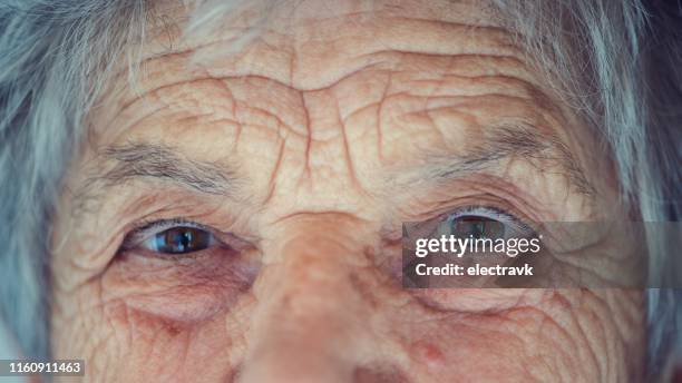 closeup portrait of elderly woman - beautiful greek women stock pictures, royalty-free photos & images