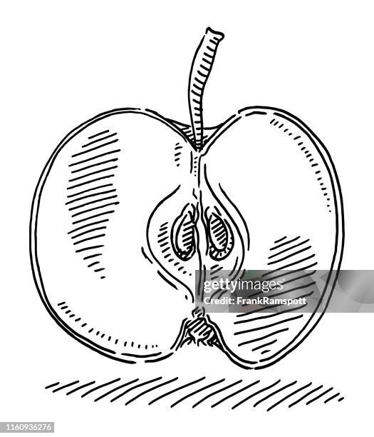 apple fruit cut in half drawing - core icon stock illustrations