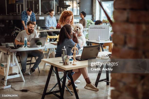 take your dog to work day - workplace respect stock pictures, royalty-free photos & images