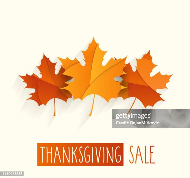 thanksgiving sale poster. handwritten text. vector illustration. - maple leaf vector stock illustrations
