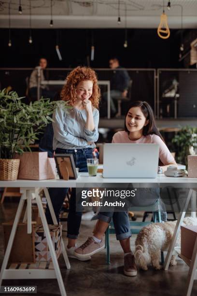 vrouwen werken in modern kantoor - co working space stockfoto's en -beelden