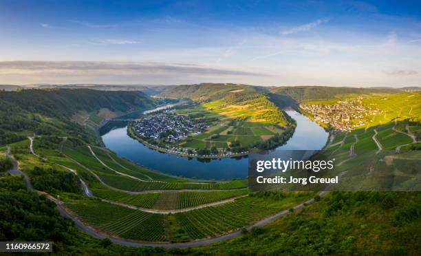 moselle river at sunrise - fluss mosel stock-fotos und bilder