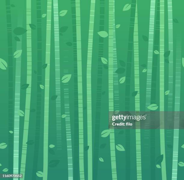 stockillustraties, clipart, cartoons en iconen met bamboe achtergrond - bamboo plant