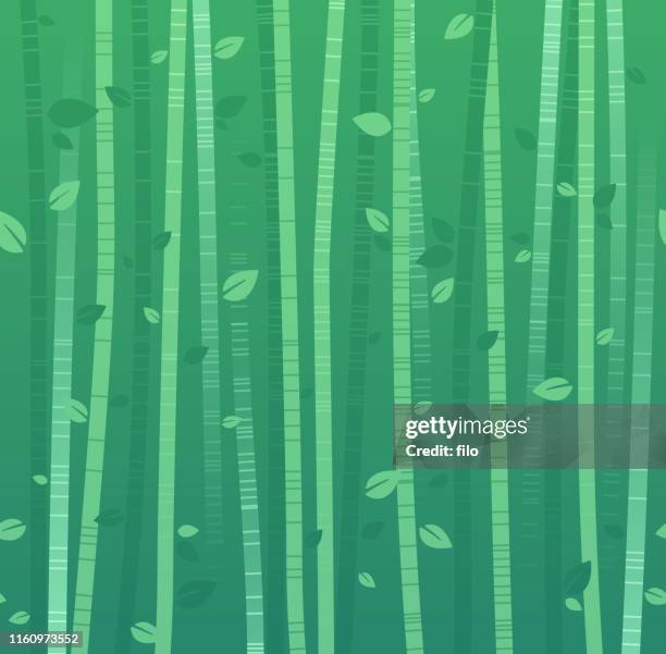 bamboo background - animal hair stock illustrations