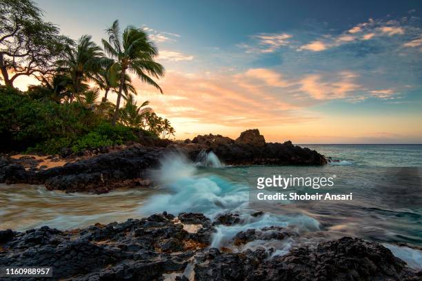 makena cove (secret beach), maui, hawaii - makena beach stock pictures, royalty-free photos & images