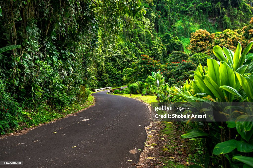 Beautiful Road To Hana, Maui, Hawaii