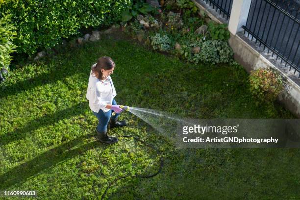 jardim molhando da mulher feliz com mangueira da água. - watering - fotografias e filmes do acervo