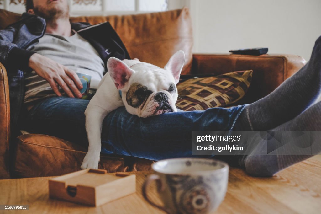 Mann verbringt einen faulen Nachmittag mit seinem Hund, einer französischen Bulldogge