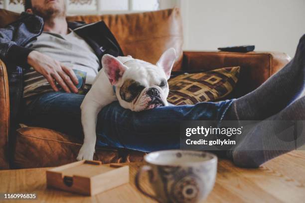 男人花了一個懶惰的下午與他的狗,法國鬥牛犬 - feet up 個照片及圖片檔