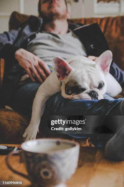 man slapen op sofa met zijn hond, een franse bulldog - luiheid stockfoto's en -beelden