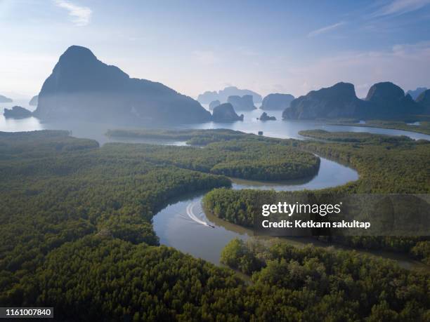 aerial view of mangrove forest and phangnga bay, phangnga, thailand. - phang nga bay stock pictures, royalty-free photos & images