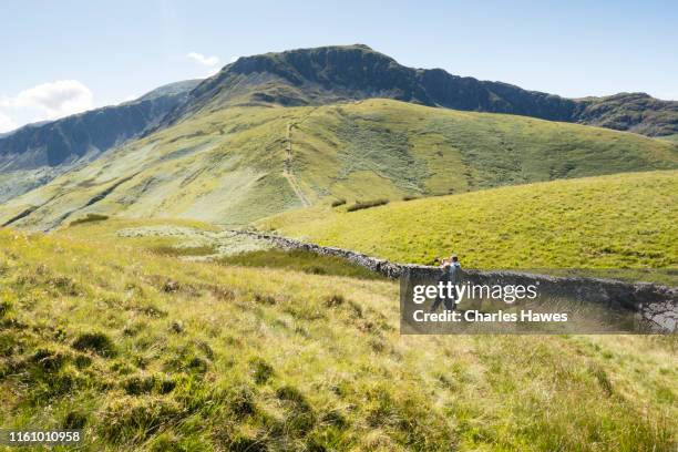 two men on footpath with view to cadair idris;image taken from the cambrian way between dinas mawddwy and bwlch llyn bach, wales, uk. july - monti cambriani foto e immagini stock