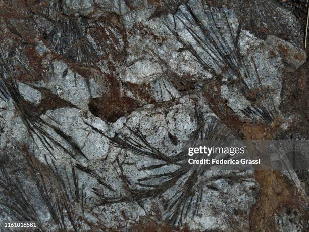 micaceous gneiss with amphibolite inclusions at alpe piora - tourmaline stock pictures, royalty-free photos & images