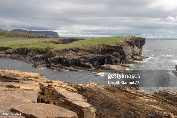 cliffs at yesnaby in the orkney islands, scotland - orkney stock pictures, royalty-free photos & images