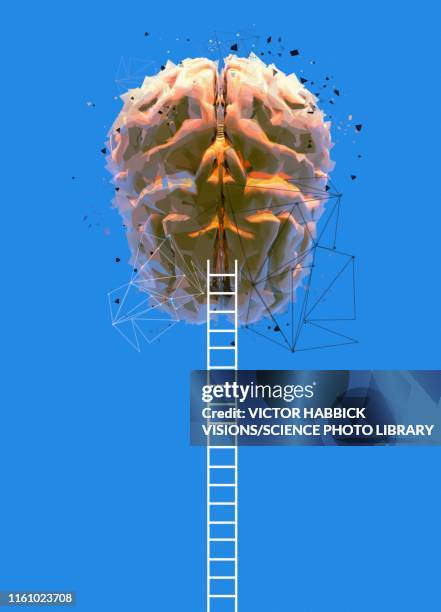 human brain and ladders, illustration - healthcare and medicine concept stock illustrations