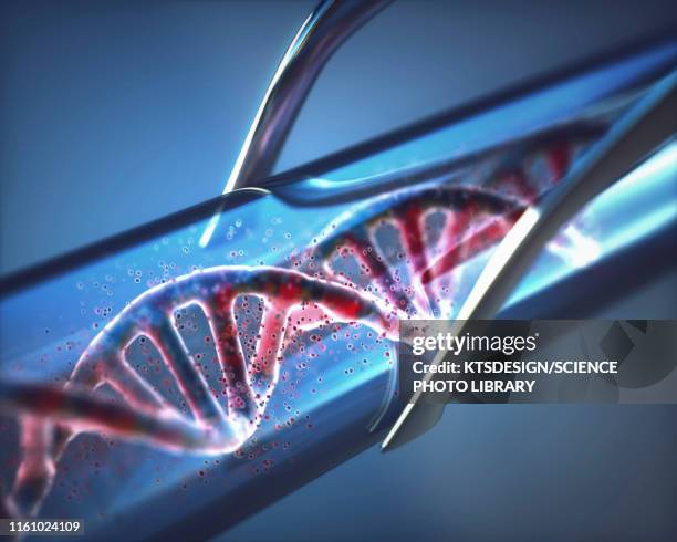 genetic engineering, conceptual illustration - dna tube stock pictures, royalty-free photos & images