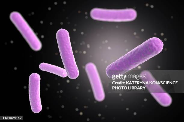 stockillustraties, clipart, cartoons en iconen met faecalibacterium prausnitzii bacteria, illustration - bacillus subtilis
