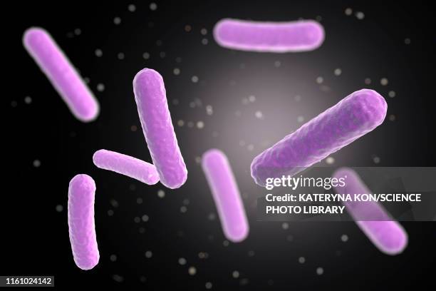 faecalibacterium prausnitzii bacteria, illustration - bacillus subtilis stock illustrations