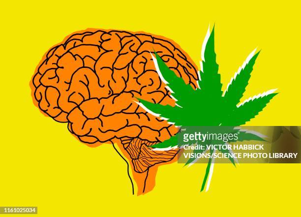 ilustrações, clipart, desenhos animados e ícones de brain and cannabis, illustration - droga recreativa