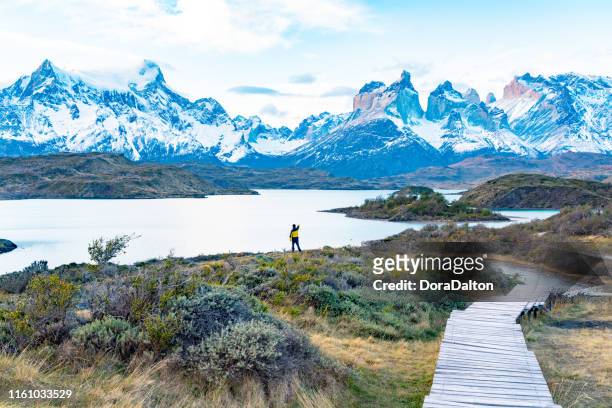 torres del paine national park, chile. (torres del paine national park) - explora park stock pictures, royalty-free photos & images